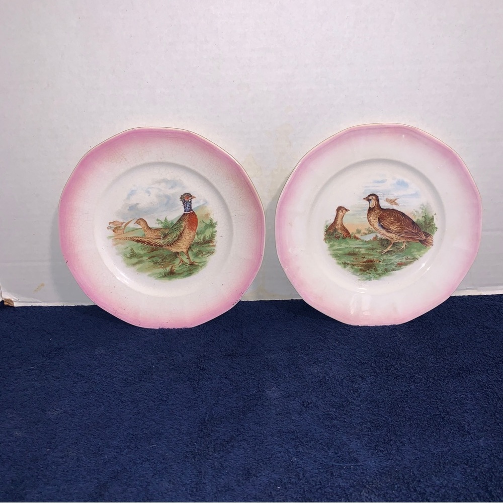 2 1920’s Antique Crescent China Co. Porcelain Bird Game Plates Pheasant Grouse